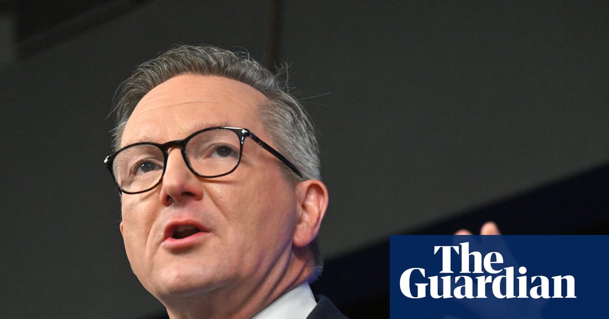 Chris Bowen vows to override Queensland and NT to force renewables-powered AI datacentres