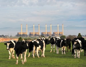 The Hazelwood power station and dairy cattle are seen in the Latrobe valley