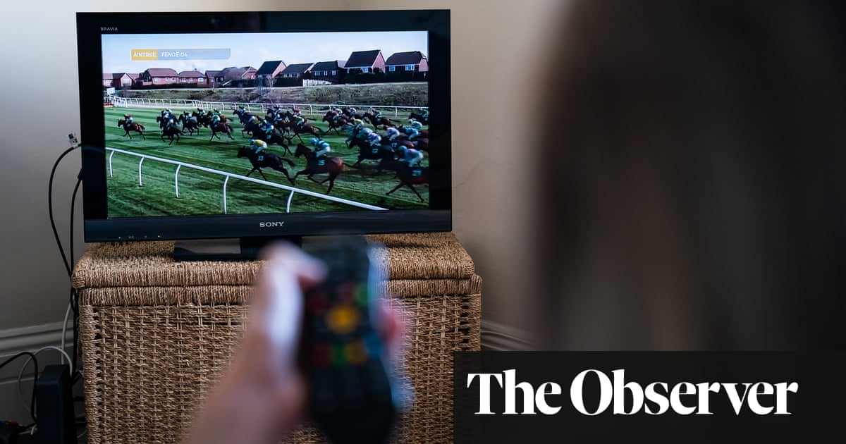 Tiger Roll avatar foiled as Potters Corner triumphs in Virtual Grand National