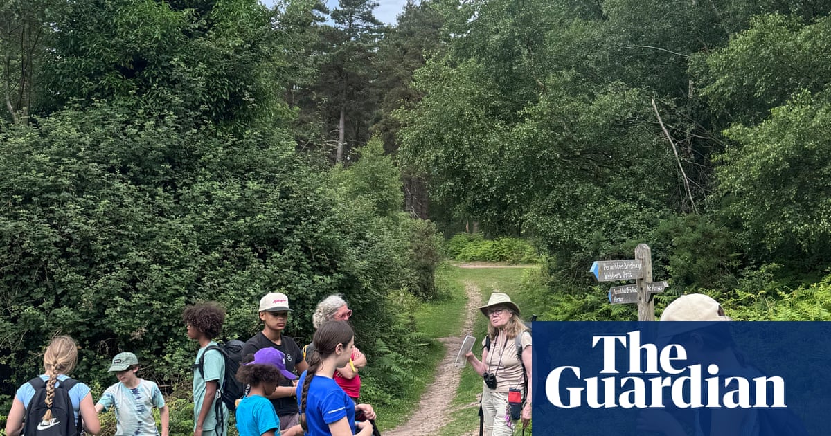 Unas holganza de senderismo en orden allegado en Exmoor: trenes de vapor, subida de árboles y montones de helados | Descanso familiares Unas holganza de senderismo en orden allegado en Exmoor: trenes de vapor, subida de árboles y montones de helados | Descanso familiares