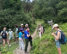 TravelWireDaily — A family group walking holiday in Exmoor: steam trains, tree climbing and lashings of ice-cream