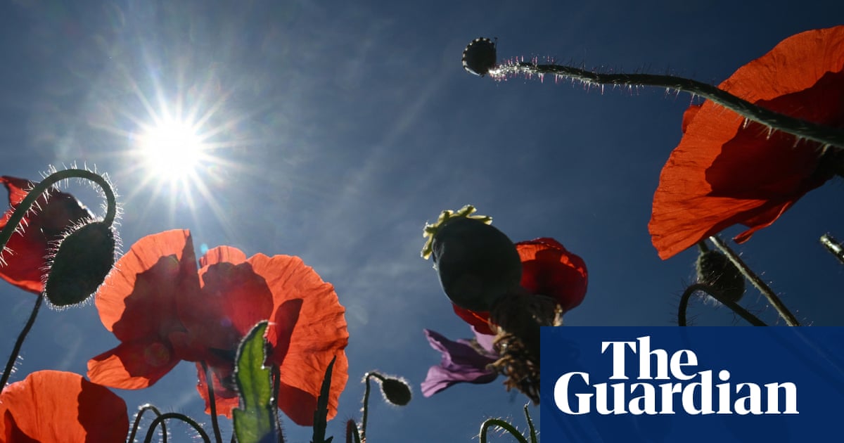 Weather tracker: Saharan heat to send temperatures soaring across Europe