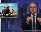 John Oliver on feral hogs: ‘One of the most destructive species in the country’