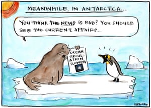 ‘Meanwhile in Antarctica ... You think the news is bad? You should see the current affairs...’ Fiona Katauskas cartoon