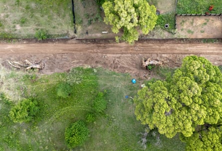 Aerial shot of downed trees