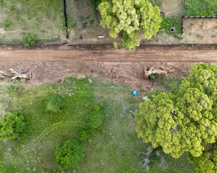 Community members stage a protest to protect an ancient cottonwood tree from demolition.