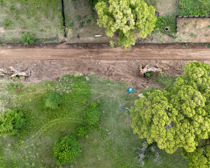 Protesters occupy 200-year-old tree at US-Mexico border to stop its destruction: ‘She’s our Statue of Liberty’ — image supplied by The Guardian US's feed