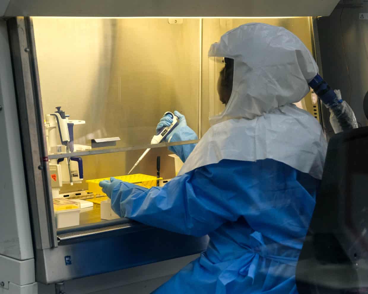 Ebola samples are tested