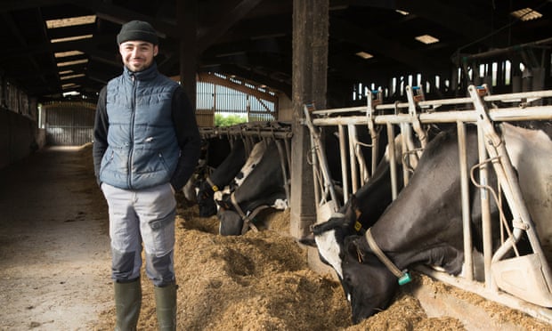 Julien Rouxel, dairy cow farmer in his barn with his cows in Pledran, France.