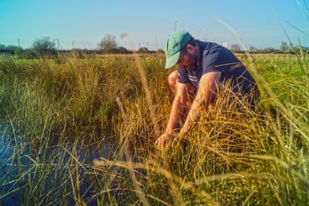 Luke Boyle crouches in long grass