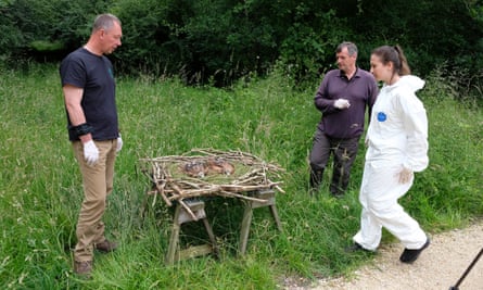 Karl Ivens, right, RSPB field officer Simon Dudhill and vet Sophie Common prepare the red kite chicks for Spain.
