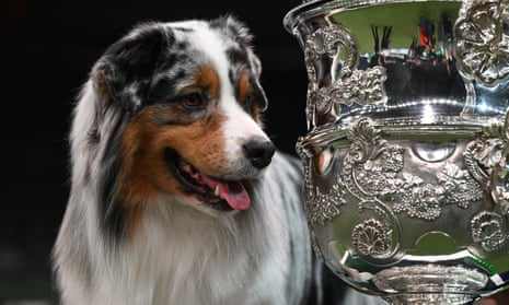 Australian shepherd Viking at the trophy presentation for the best in show event on the final day of the Crufts dog show