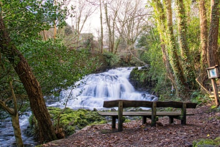 A bench by a waterfall among trees.
