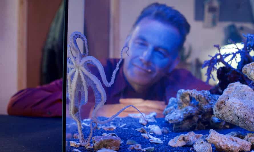 Chris Packham’s Animal Einsteins.