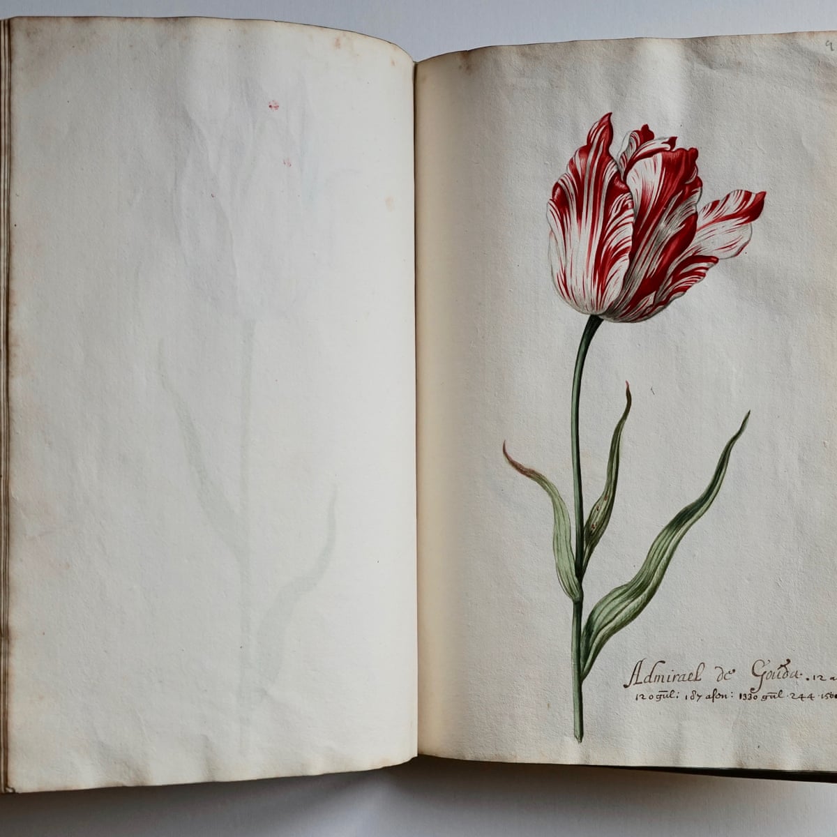 Dutch Family In Cash Plea To Save Ancestor S Tulip Mania Paintings
