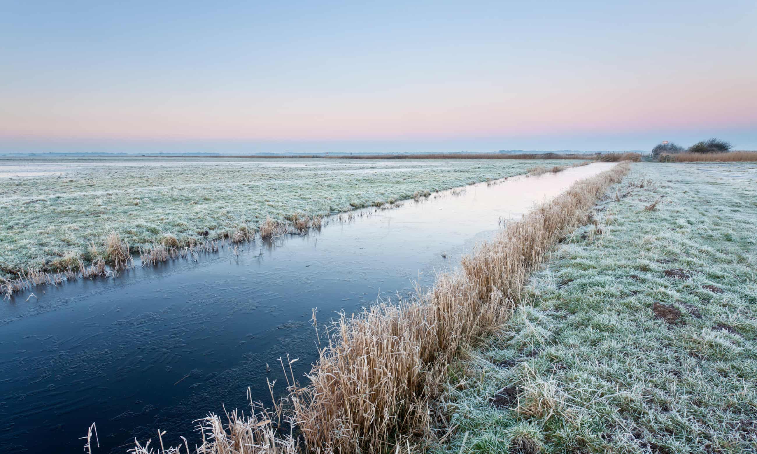 Norfolk shouldn’t play down how flat it is, says our writer. Halvergate Marshes in the Broads pictured. Photograph: Loop Images/Alamy