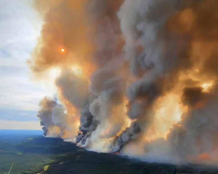 Zombie fires: how Arctic wildfires that come back to life are ravaging forests