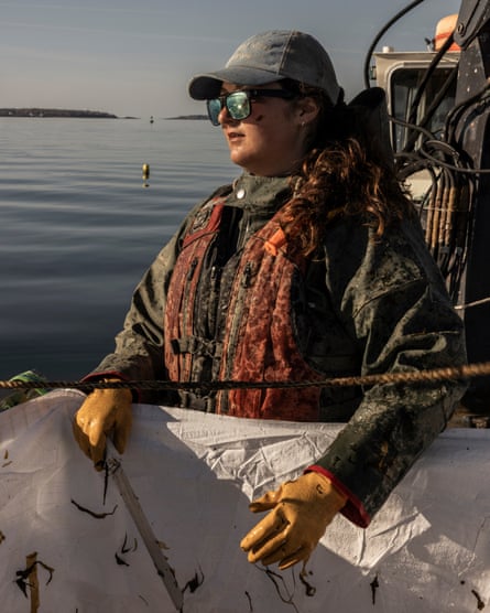 Zoe Benisek, oyster lead, harvesting skinny kelp