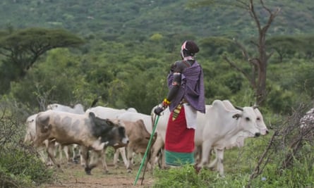 The Battle for Laikipia.