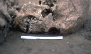A close-up of the skull with a flat stone wedged between the jaws
