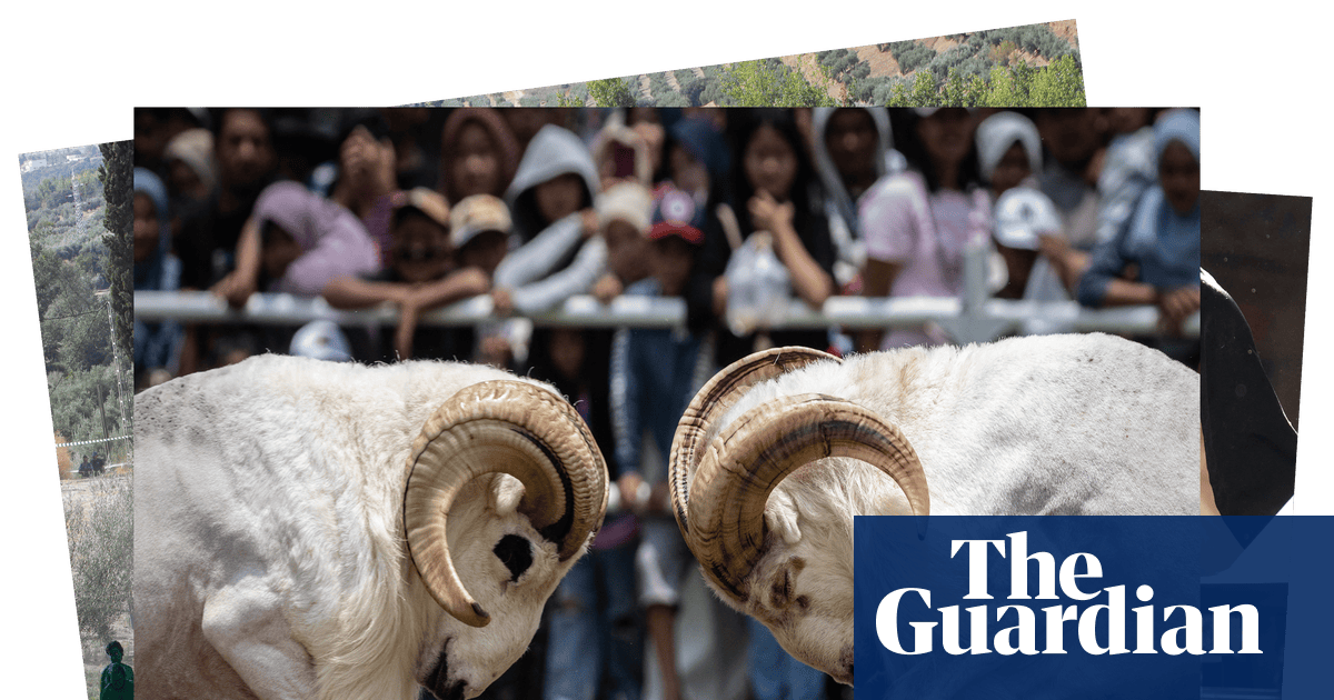 Rebel nuns, naked green people and a ram fight: photos of the weekend