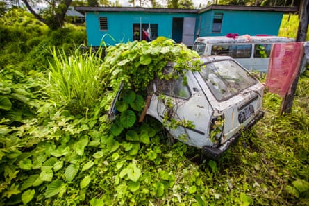 Vines smother a car