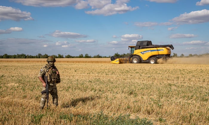 A Russian serviceman stands guard in a field in Zaporizhia, southeastern Ukraine, 14 July.