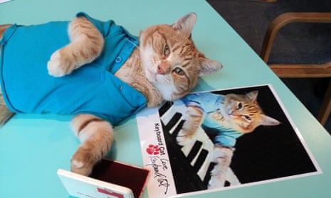 Bento the cat aka Keyboard Cat Keyboard Cat is one of the internet’s first ever viral cat videos. 