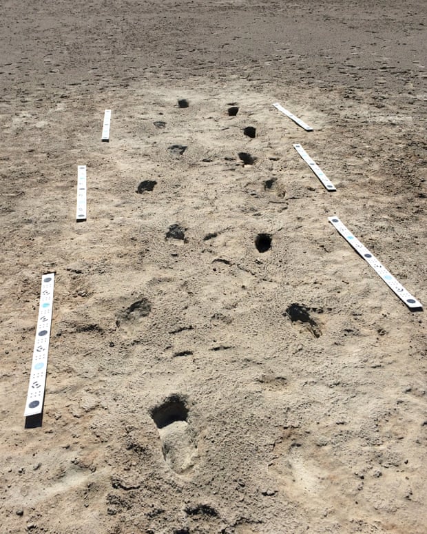 Two human footprint trackways can be seen at White Sands National Monument in New Mexico. Supplied by Bournemouth University, Britain, April 25, 2018. Matthew Bennett/Bournemouth University/Handout via REUTERS ATTENTION EDITORS - THIS IMAGE WAS SUPPLIED BY A THIRD PARTY. NO RESALES. NO ARCHIVES.