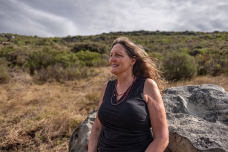 ‘Essa é uma batalha perdida’: incursões de babuínos causam tenso impasse entre humanos e vida selvagem na Cidade do Cabo