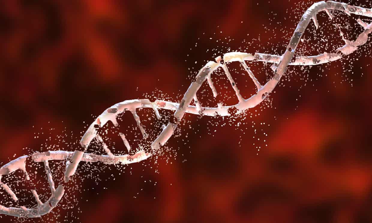 DNA link could unlock mystery of cancer patients ‘wasting away’ (theguardian.com)