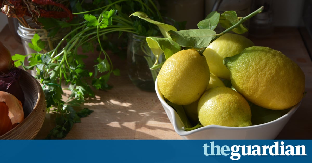 Результат пошуку зображень за запитом "лимон лучший друг женщины!"