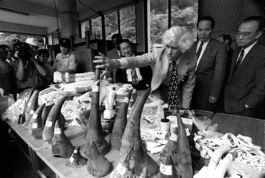 Martin inspects confiscated rhino horns, elephant tusks and ivory objects at the Taipei Zoo, June 1993