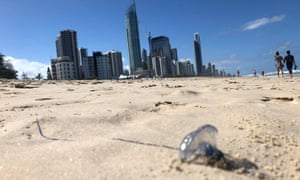 A bluebottle jellyfish washed-up on Surfers Paradise beach in Queensland