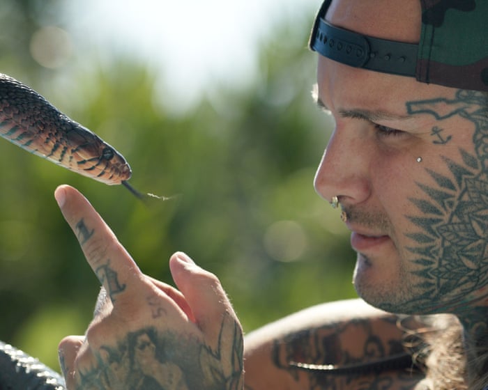 Monsters of God review – a messy feud between rival reptile smugglers gets the Tiger King treatment — image supplied by The Guardian Culture's feed