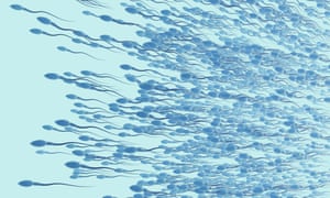 Sperm cells, illustration<br>3d illustration of sperm cells, or spermatozoon.