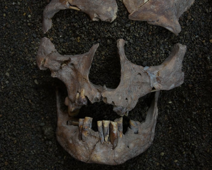 Indonesian foragers may have sucked on mind-altering nuts 25,000 years ago, research finds