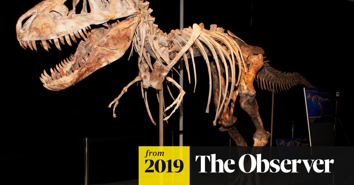 Dinosaur fossil collectors 'price museums out of the market' | Dinosaurs |  The Guardian