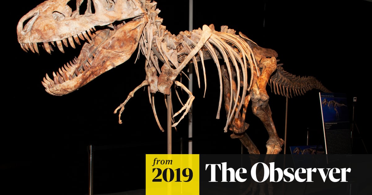 Dinosaur Fossil Collectors Price Museums Out Of The Market Dinosaurs The Guardian Dinosaur Fossil Collectors Price Museums Out Of The Market Dinosaurs The Guardian