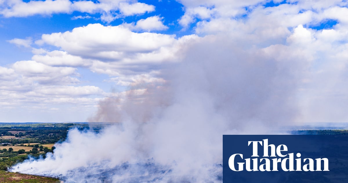 UK wildfires devastated more areas in 2025 than at any time since records began, figures show