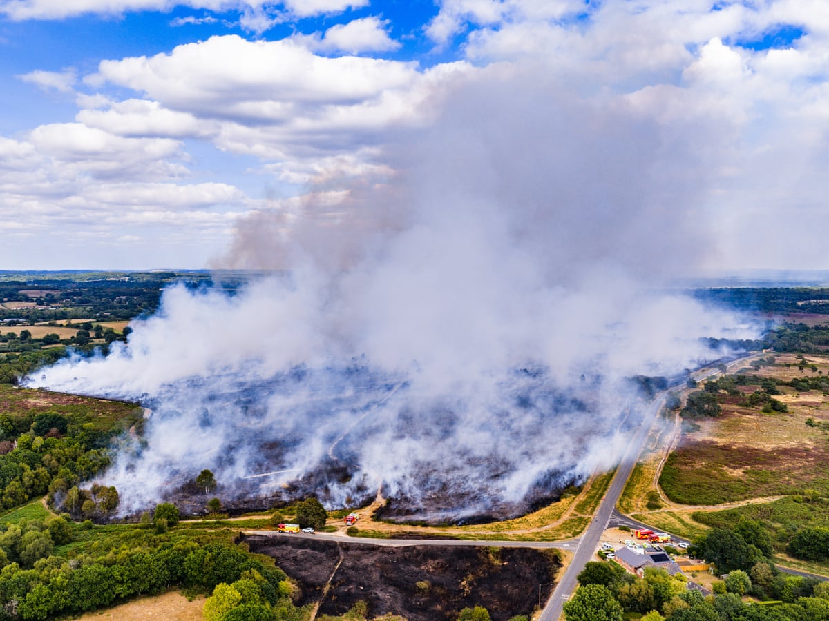 UK wildfires devastated more areas in 2025 than at any time since records began, figures show | Wildfires | The Guardian
