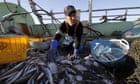 Fukushima fishermen concerned for future over release of radioactive water