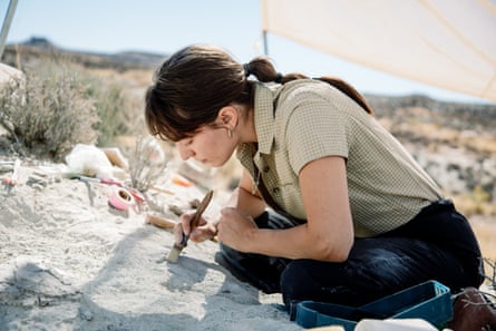 The dig team uncovers a fossil.