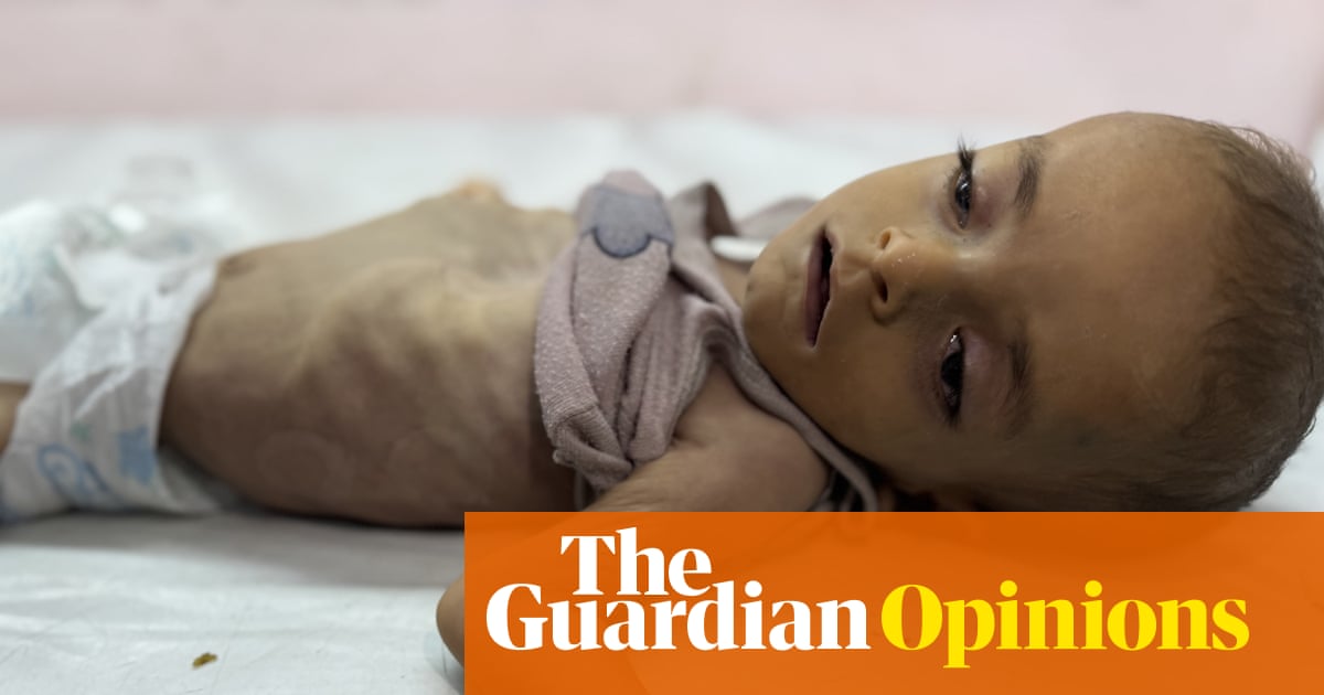 Joe Biden is complicit in Gaza's starvation. Blood is on his hands | Mohamad Bazzi