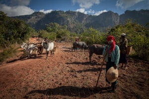 Farmers in Shan state