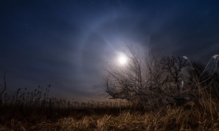 A full moon illuminates a rural landscape.