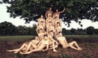 Overexposed - is it time to end the saucy naked calendar?