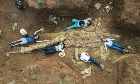 Con una altura de entre cinco y siete metros, el Elasmusaurus juvenil no estaba completamente desarrollado antes de morir.