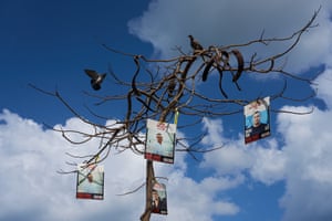 Photographs of four hostages hang on a leafless tree with a pigeon sitting on top of it and another about land