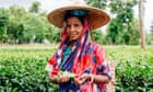‘It’s spreading faster than we’ve ever seen’: the mission to halt leprosy in Bangladesh’s tea gardens